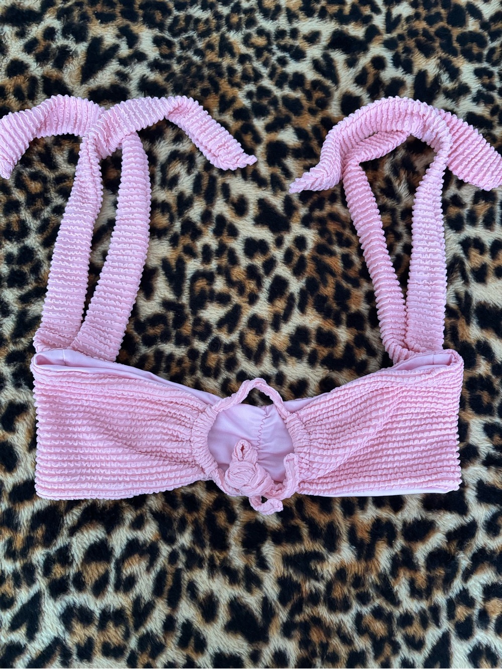 Danielle Guizio bikini top - Picture 3 of 5